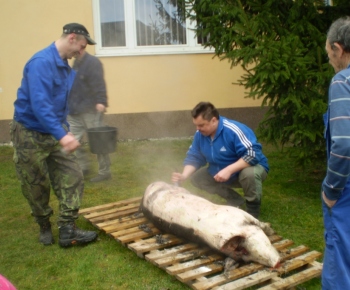 Fašiangová zabíjačka I.ročník