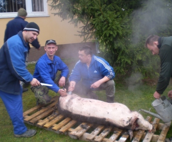 Fašiangová zabíjačka I.ročník