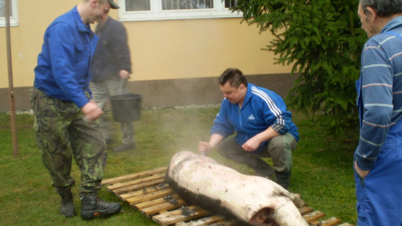 Fašiangová zabíjačka I.ročník 1.marca 2014 Fašiangová zabíjačka I.ročník 1.marca 2014