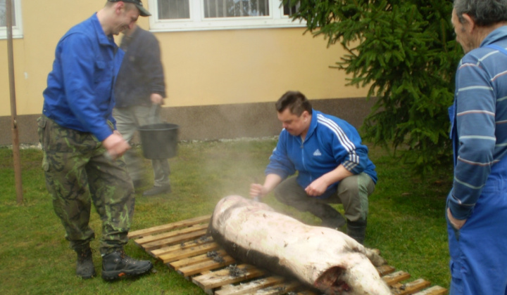 Zobraziť fotografiu