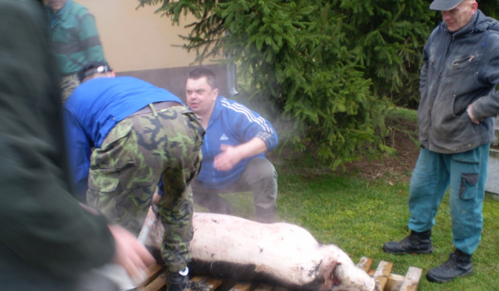 Zobraziť fotografiu