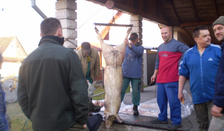 Zobraziť fotografiu