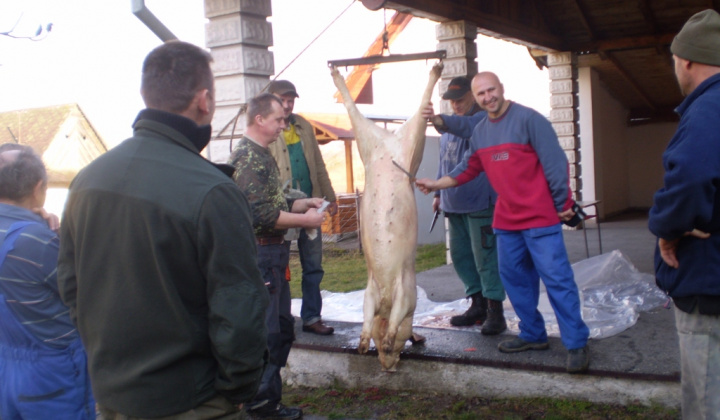 Zobraziť fotografiu