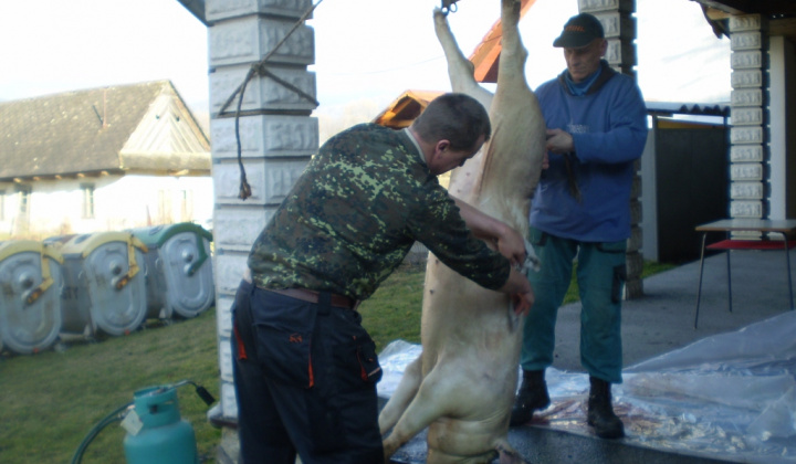Zobraziť fotografiu