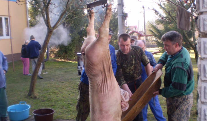 Zobraziť fotografiu