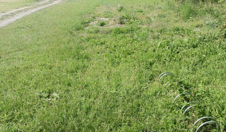 Zobraziť fotografiu