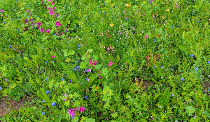 Zobraziť fotografiu