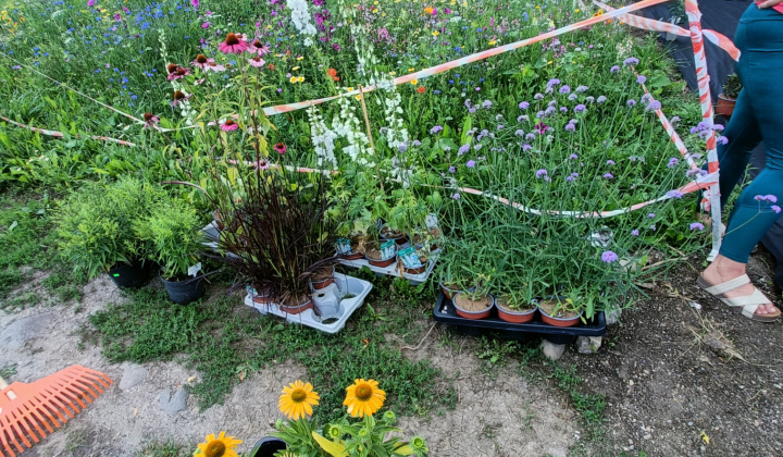 Zobraziť fotografiu