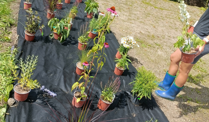 Zobraziť fotografiu