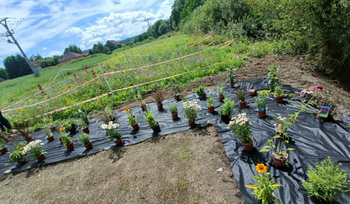 Zobraziť fotografiu