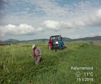 Deň Zeme - brigáda, čistenie skládky odpadu za obcou